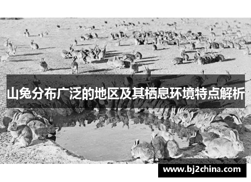 山兔分布广泛的地区及其栖息环境特点解析